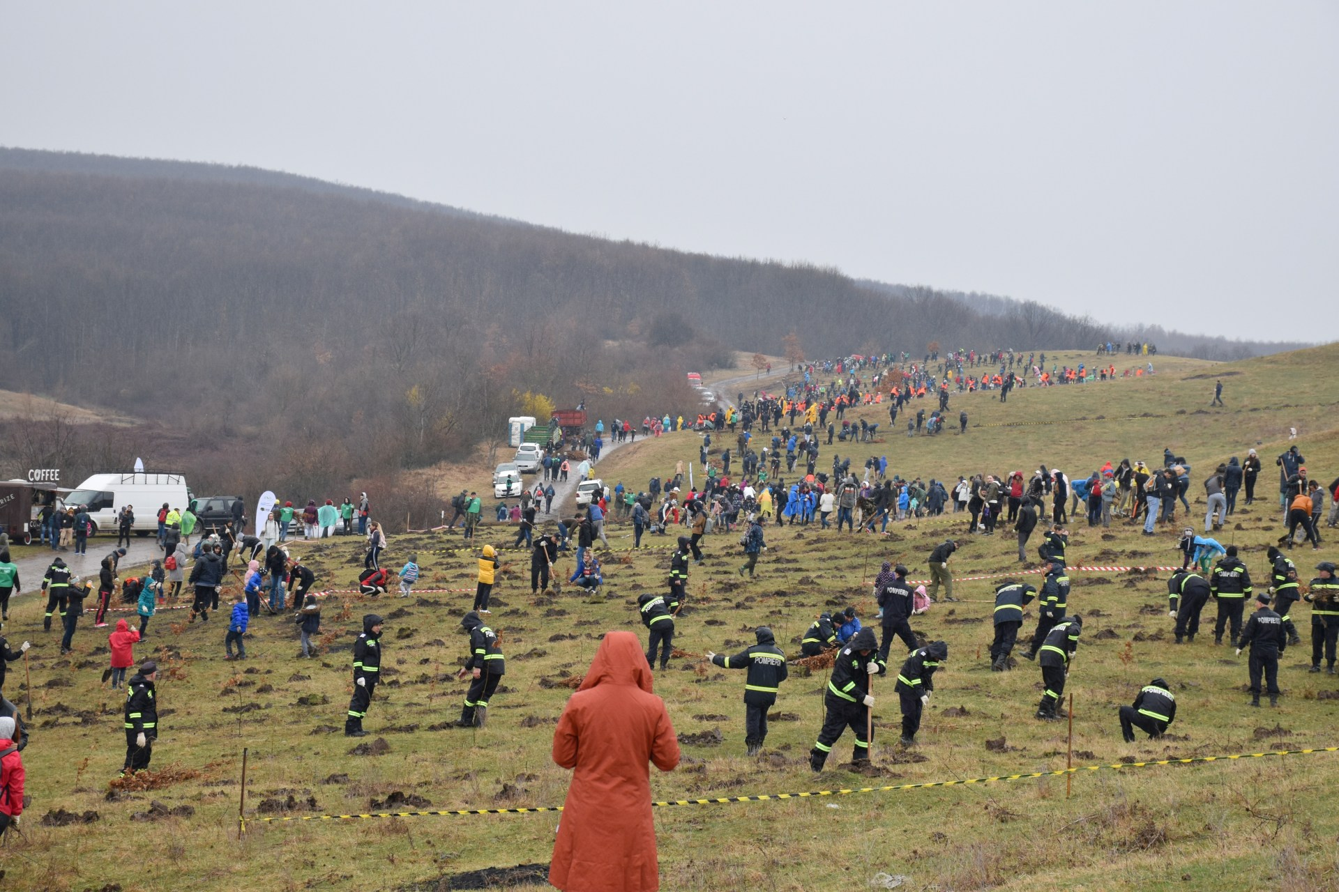 Peste o mie de voluntari au plantat 17.000 de pomi într-o singură zi, în Timiș