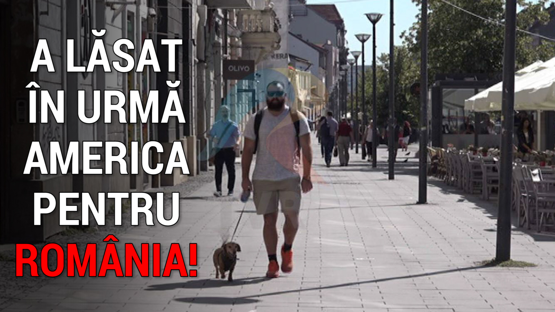 Americanul care s-a îndrăgostit de țara noastră. „Nu mă așteptam să trăiesc aici. Legumele au gust de legume!”