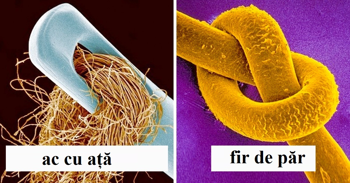 10 lucruri obișnuite care arată foarte diferit cand sunt vazute la microscop