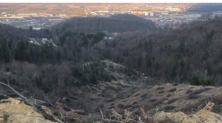 (Video) Cosmin: „Este măcel in pădurile Brașovului... Au dispărut deja arborii de pe 2 vai (Valea Scurta si Piscu Vechi). Doua vai si o culme întreagă au fost chelite de arbori la ras (in România defrișatul la ras este interzis si ilegal). Toate aceste sub ochii autorităților locale care ce fac? Cu 