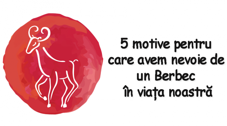 5 motive pentru care avem nevoie de un Berbec in viata noastra