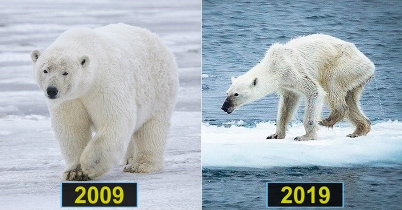 Fenomenul # 10YearsChallenge despre care ar trebui sa vorbim