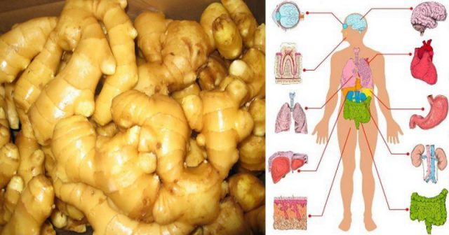 Ce se întâmplă în corpul tău dacă mănânci ghimbir zilnic timp de o lună. Medicii nu găsesc explicația